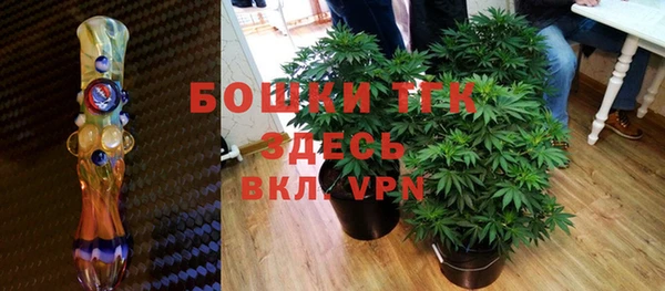 прущие грибы Кинешма
